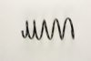RENAU 7700844978 Coil Spring